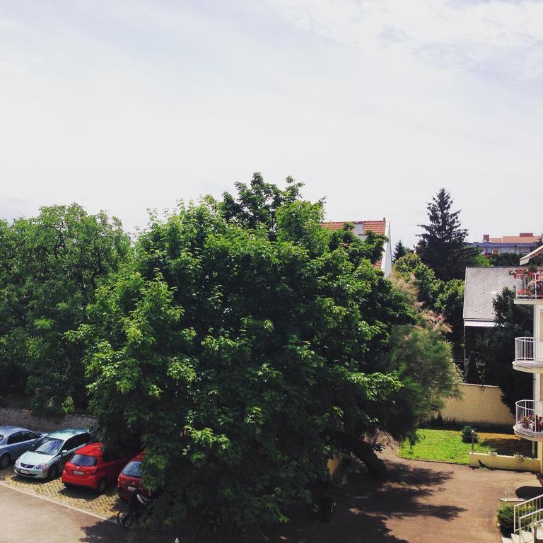 Tuenderpart Apartment Eger Pokój zdjęcie